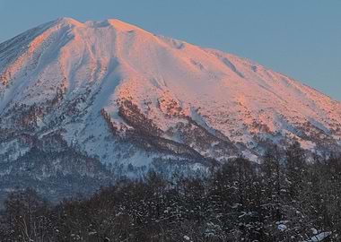 Beauty is in the eye