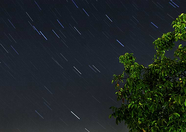 Short startrails with tree