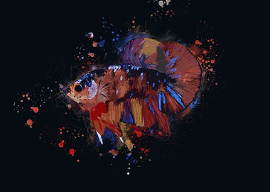 Multicolor Betta Fish