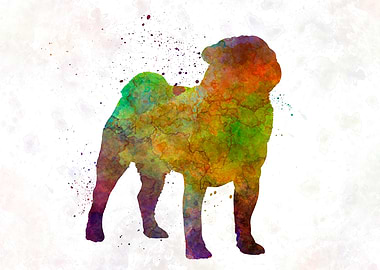 Pug dog in watercolor