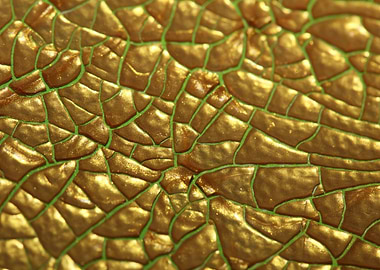 Cracked canvas paint macro