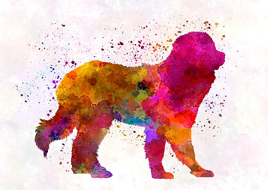 Pyrenean Mountain Dog