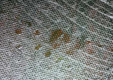 Painting colors on canvas