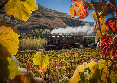 Historic train in Douro