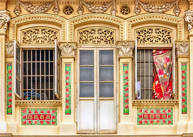 The Singapore Shophouse