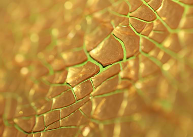 Cracked canvas paint macro