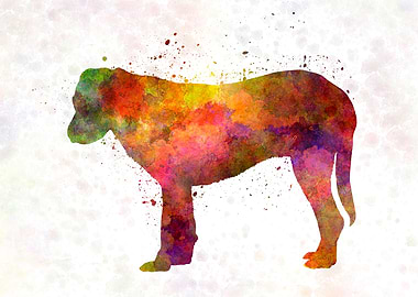 Rafeiro of Alentejo dog