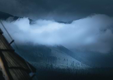 Clouds over the forest