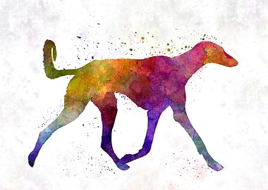 Saluki in watercolor