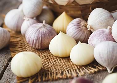 Solo garlics on the burlap