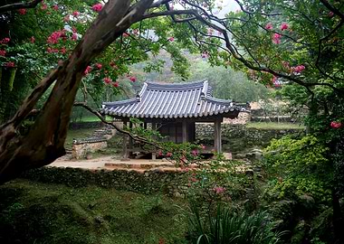 Flowering at the temple