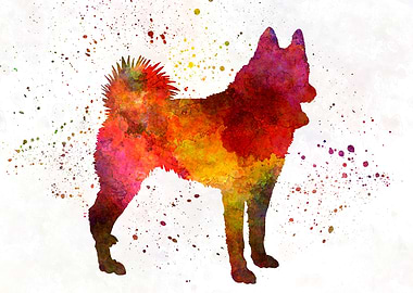 Russian European Laika