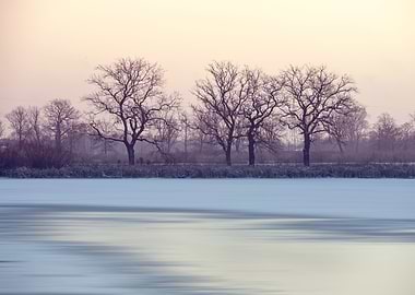 Winter sunrise,lake,trees