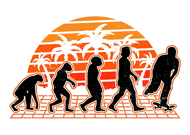 Skateboard Evolution Sunse