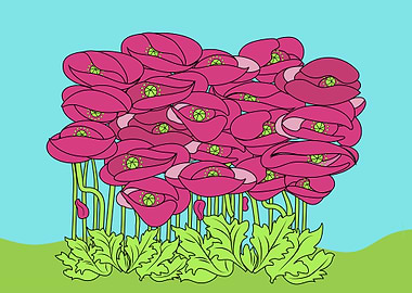 Bunch of Poppies Flowers