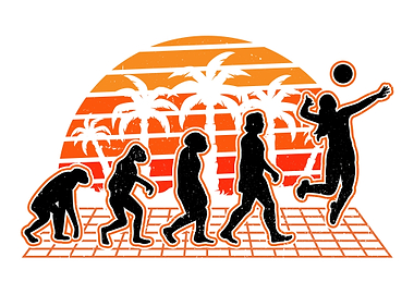 Volleyball Evolution Sunse