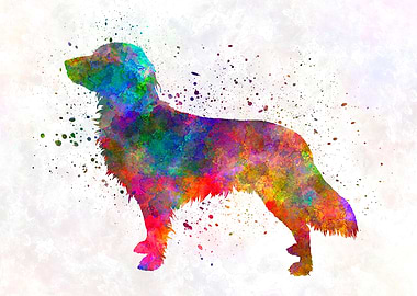 Small Munsterlander dog