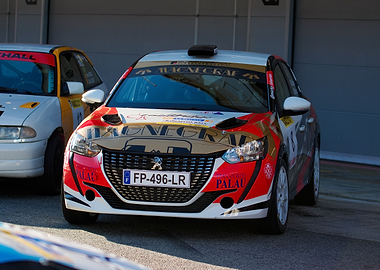 Peugeot 208 Rally