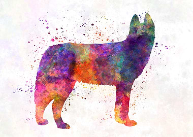 Siberian Husky