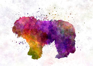 South Russian Shepherd Dog