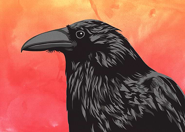 Crow portrait