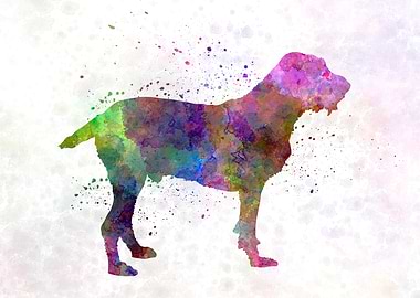 Spinone in watercolor