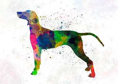 Weimaraner in watercolor