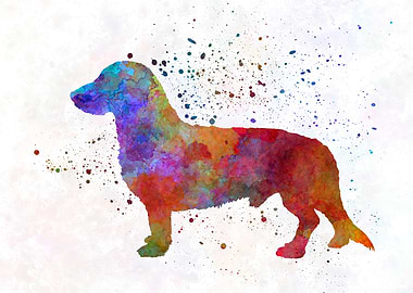 Westphalian Dachsbracke