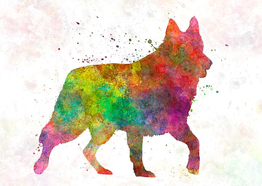 White Swiss Shepherd Dog