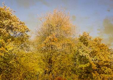 Yellow fall retro forest