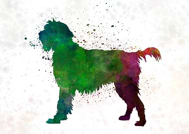 Wirehaired Pointing dog