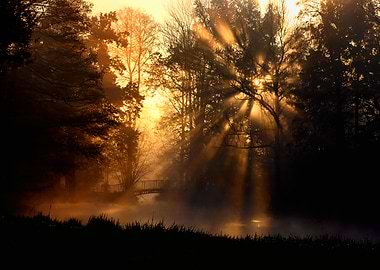 Autumn sunlight, park,tree