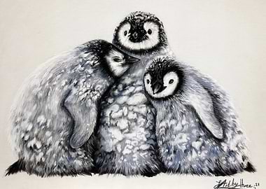 Trio of Penguin Chicks