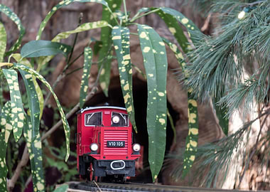 Miniature Train