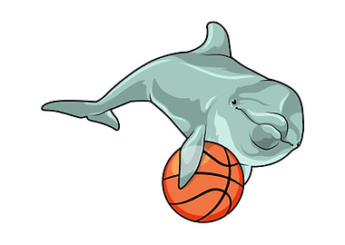 Dolphin Basketball Sports