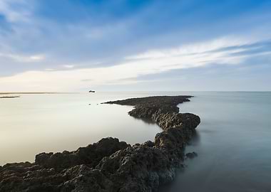 Extended algal reefs