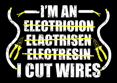 Electrician Electrical