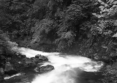 Streams in Taiwan