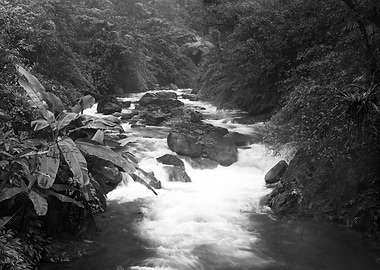 Streams in Taiwan