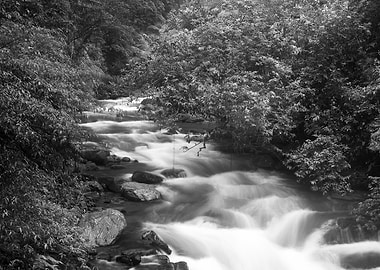 Streams in Taiwan