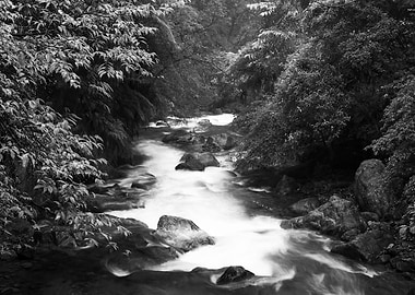 Streams in Taiwan