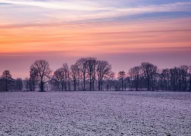 Winter misty morning, sky