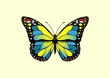 Blue and yellow butterfly