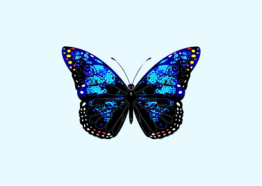 Blue butterfly