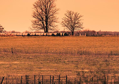 Farm Landscape