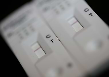 Quick virus negative test