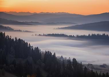 Autumn misty morning, view