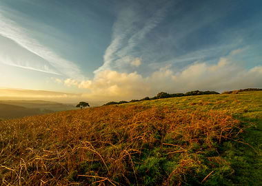 Evening at Mynydd Illtud i