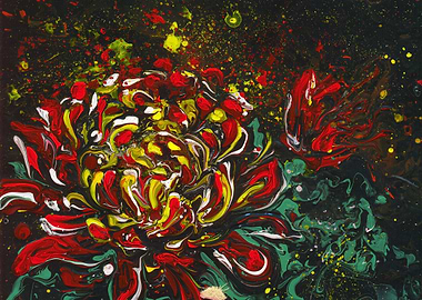 Red Aster Expression