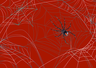 SPIDER WORKING ON ITS WEB